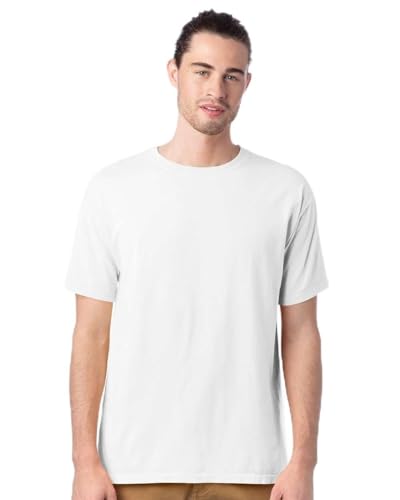 Hanes Men’s ComfortWash National Parks Graphic T-Shirt – Glacier National Park Tee