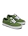 Vans Men's Atwood Shoe | Low-Top Fashion Sneakers for Work, Walking & Casual Everyday Wear, Twist of Lime, 12