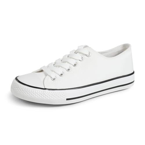 [o`egk] Xj[J[ fB[X LoX V[Y YbNC y w ʊw C   Ɠ߂ JWA ̈ EH[LO (zCg,24.0cm)