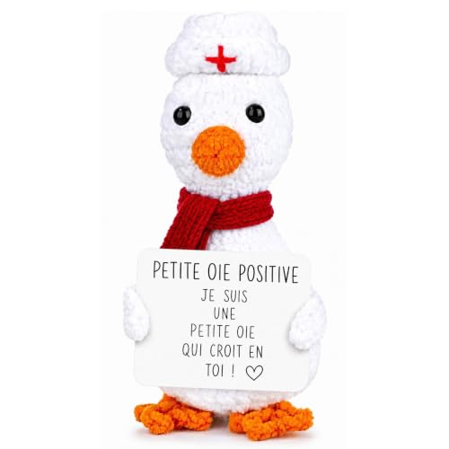 HDAFHAWBI Cadeau Infirmiere Femme, Petite Oie Positive au Crochet avec Message Encourageant, Cadeau Infirmiere pour Anniversaire Noël, Infirmiere Accessoires, Décoration Bureau Médecin Hôpital