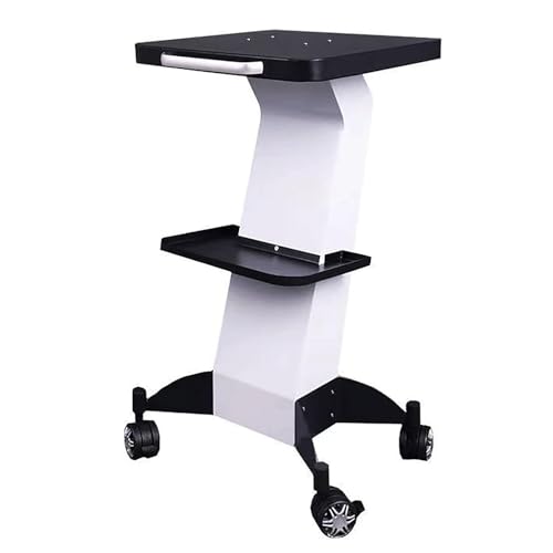 Chariot avec roulettes anti-panne de rangement pour charge 220 LB