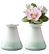 Amazon.co.jp: セトクラフト 花レンヌ 「100年 枯れない花hana