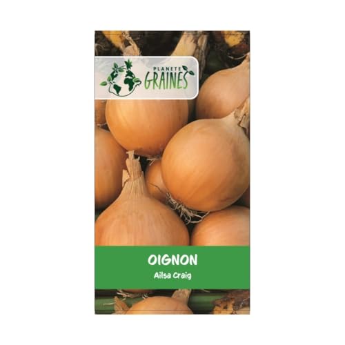 250 graines d oignon ailsa craig - saveur douce - gros jaune