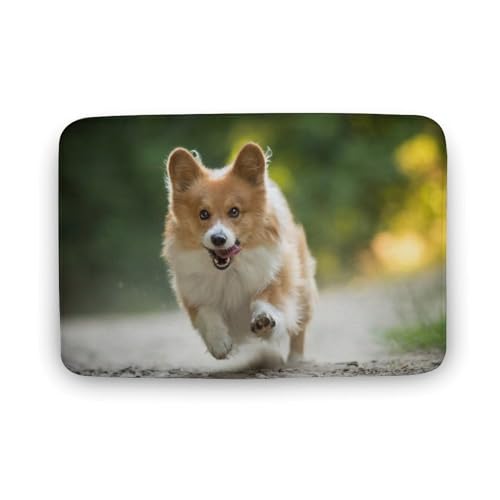 Č  L  oX}bg z/唻 փ}bg  O   \ ~ Aj LN^[ @}bg   ʏ