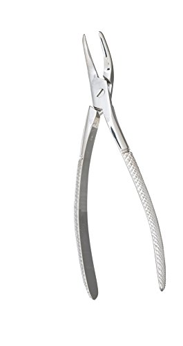 Extracting Forcep English Pattern Roots & Molar #137 Guy