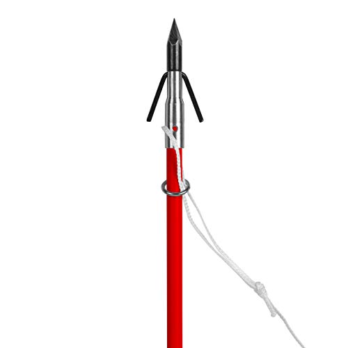 Cajun Bowfishing Slide Rings 10-Pack - Enhanced Penetration for Deep Water Fishing, Added Strength for Large Fish, Premium Stainless Steel Construction, Saltwater Approved , Easy Installation