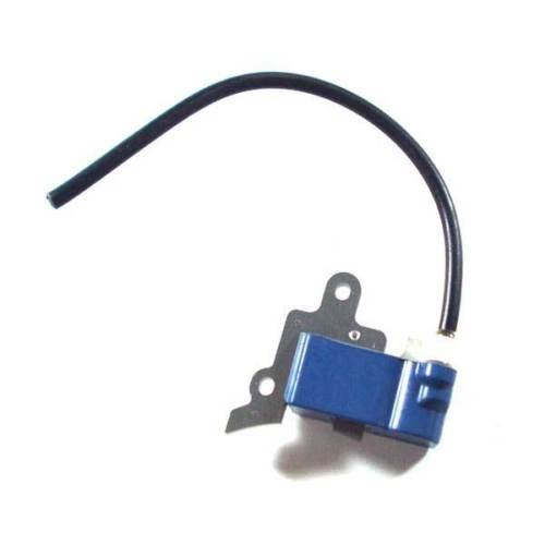 LISA カエチッチ×2 Amazon.com: ENA Ignition Coil Pack Compatible with Suzuki