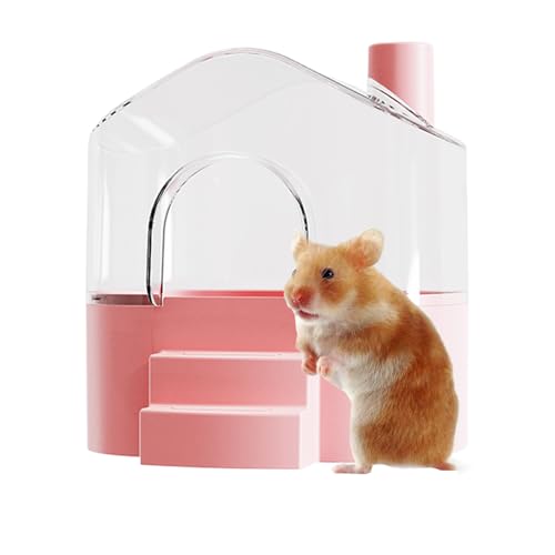 Bain de sable pour hamster | Fini les projections hors de la cage