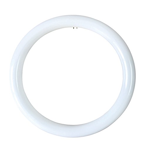 I.F. phase 5146/B/12 W Tube de LED circulaire T9 6500ºk 12 W, lumière blanche