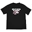 Southern Illinois University/B/Primary Logo/Yt