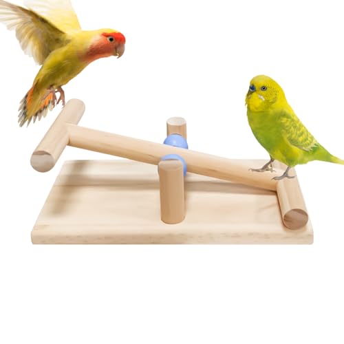 天然の鳥のおもちゃ,木製シーソー 鳥用 - オカメインコの運動トレーニングツール、インタラクティブな卓上バランスおもちゃ ラブバードとインコ用