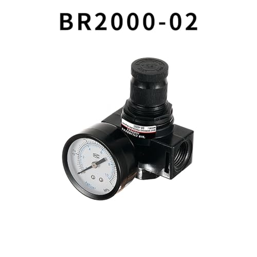 Régulateur de pression BR2000 avec filtre de traitement de la source d'air comprimé