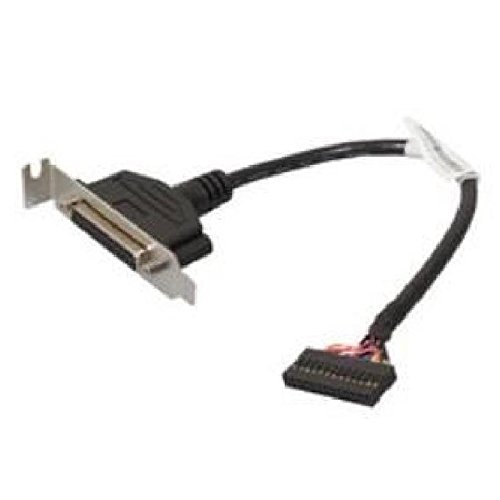 IBM Connecteur de câble parallèle 45J9598 - 25 cm - Low Profile Thinkcentre Edge 71 72