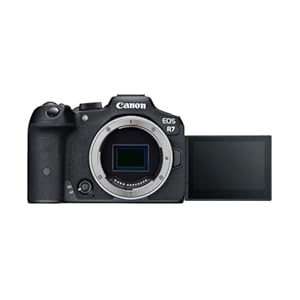 Canon EOS R7 Kamera spiegellose Camera (DSLR Upgrade, Hybridkamera, 4K/30p Videoaufnahmen, bis zu 15 B/s, WLAN, Deep-Learning Dual Pixel CMOS AF II Fokussystem) schwarz