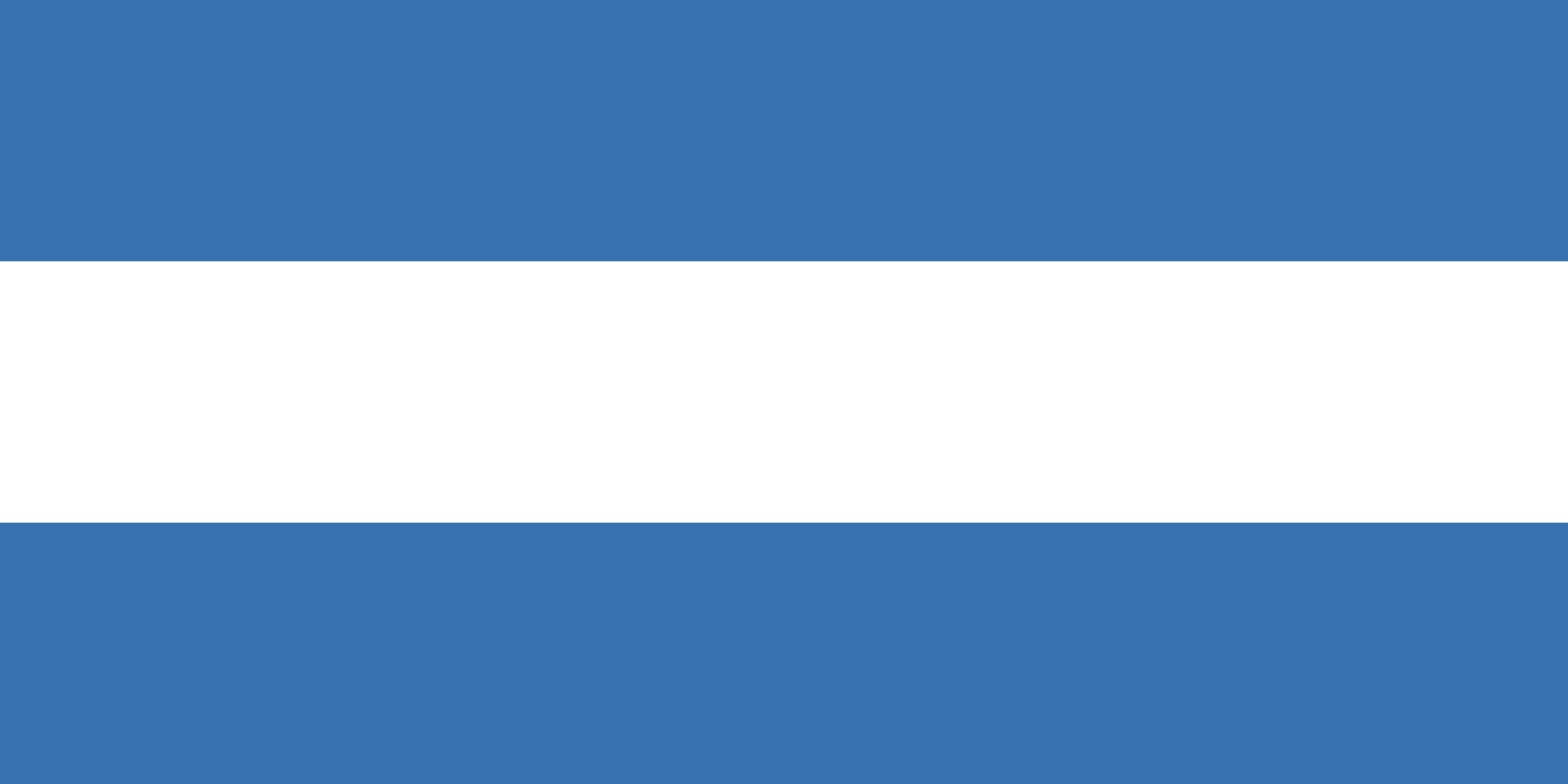 Drapeau Budapest 20e arrondissement Pesterzsébet grand format extérieur