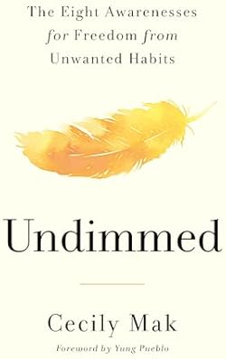 Undimmed cover image