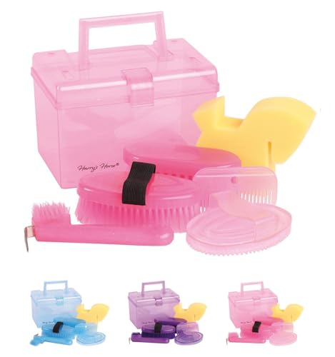 netproshop Mini Gift Box Putzbox mit verschiedenen Bürsten in...