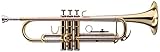 blechblasinstrumentenbauer österreich Daumensattel am 1. Ventilzug, Fingerring am 3. Ventilzug, 2 Wasserklappen