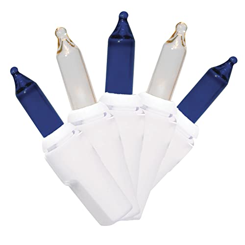 Brite Star 150 Count 8-Function Chasing Light Set - Outdoor String Lights with Twinkling, Flashing, and Steady On Modes - Ideal for Christmas Tree and Outdoor Christmas Decorations, Blue/Clear Brite Star 150 Count 8-Function Chasing Light Set - Outdoor String Lights with Twinkling, Flashing, and Steady On Modes - Ideal for Christmas Tree and Outdoor Christmas Decorations, Blue/Clear