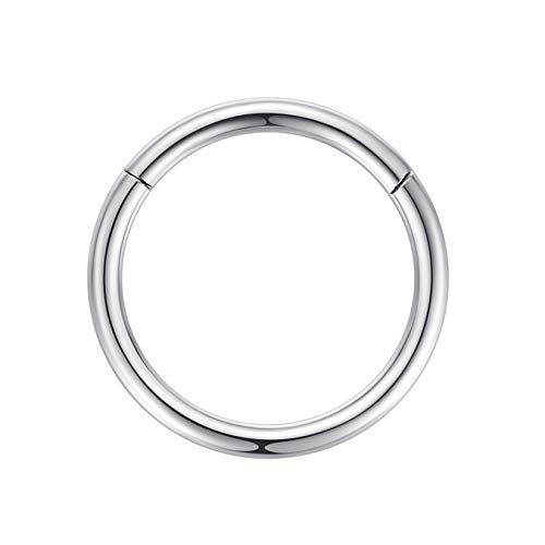 ORANGELOVE 12g Cartilage Hoop 14mm Helix Earring 316L Surgical Steel Hoop Earrings for Women Nose Rings Hoop Silver Nose Ring 12 Gauge Nose Hoop Conch Helix Earring Lip Rings Nose Piercing Jewelry