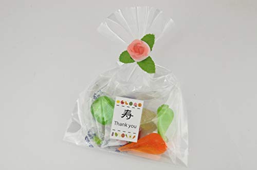 uC_v`Mtg v` 4P[Xi200j