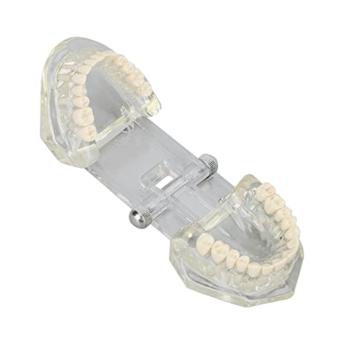 24pcs`̋U̒ܒ܂ɃvXlH܃AN̋U̒ܒ܂ɐڒ