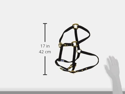 Hamilton 3/4-Inch Nylon Arabian Horse Halter with Adjustable Chin and Throat Snap, Average, 800 to 1100 pounds, Black