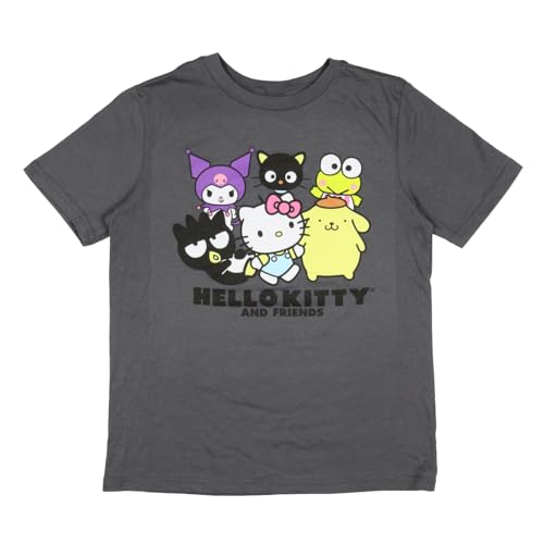 Sanrio Boy's Hello Kitty and Friends Character Kids Short Sleeve T-Shirt (Large) Grey