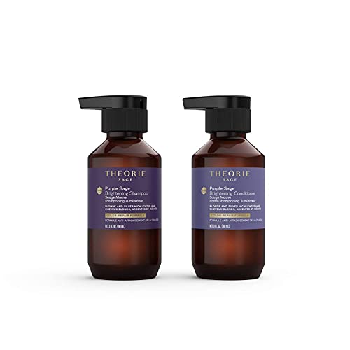 THEORIE Purple Sage Travel Set
