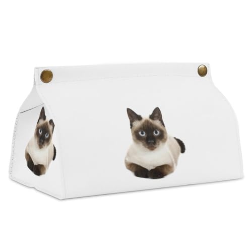 eBbVP[X VL VlR eBbV{bNX PUU[ eBbVJo[ \tgpbN  k ԗp eBbV|[` eBbV CeA ܂ G h Q ʑ ƒp ItBXp ?蕨