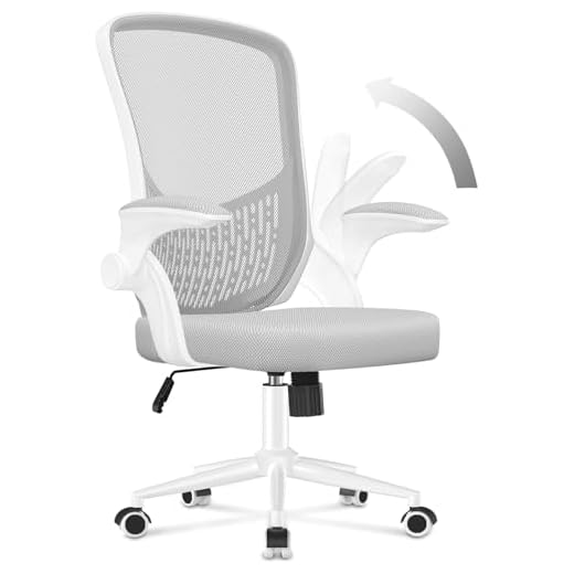 naspaluro Silla de Oficina, Silla de Oficina Ergonómica con Brazos Abatibles 90°, Soporte Lumbar de Diseño Exclusivo, Tapicería de Malla Transpirable, Silla de Escritorio Giratoria 360°, Gris