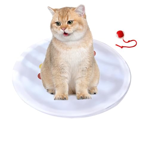 Interactive Cat Toy - Automatic Moving Ball, Protective Cover Chasing and Catching Game Smart Motion Pet Toy for Indoor Exercise