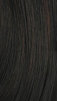 It's a Wig Synthetic Braid Lace Front Wig - Rosemary-P1B/33