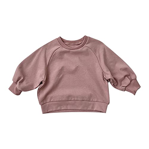 Infant Lightweight Solid Pullovers Round Neck Long Sleeve Casual Sweatshirts Unisex Boy Girl Fall Basic Loose Tops