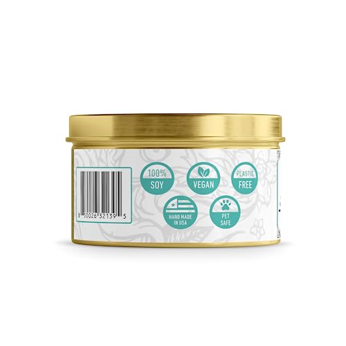 JET Chanukah Sand Fun - Menorah