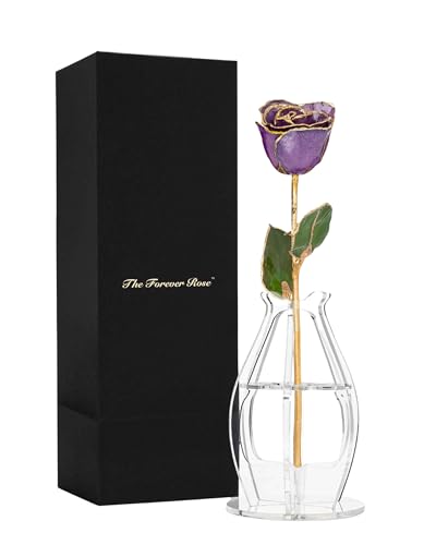 Forever Rose Hand-Dipped in 24K Gold, Amethyst-Inspired February Birthstone with