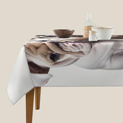 Nappe lavable et infroissable en lot de 2 pour protéger efficacement la table de cuisine