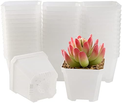 MOUYAT 40 Pieces 4 Inch Translucent Plastic Square Nursery Pot, Square Nursery Planter with Drainage Holes, Square Plastic Plant Container for Succulents, Cactus, Indoor Outdoor Plants