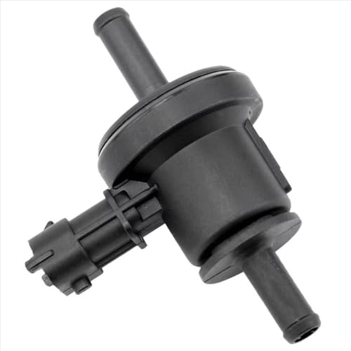 Électrovanne de purge de carburant pour corriger le voyant moteur Hyundai Santa Fe et Genesis