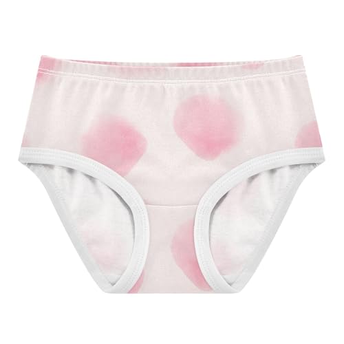 Girls Underwear Toddler 2t Cotton Cute Panties Girl Pattern Kids Undies Briefs Pastel Blush Watercolor Textures