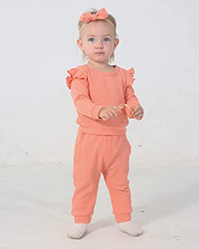 ITFABS Toddler Baby Girl Fall Winter Clothes Newborn Infant Floral Pullover Sweatshirt T-Shirts+Pants 3PCS Outfits Set(AOrange,18-24 months)