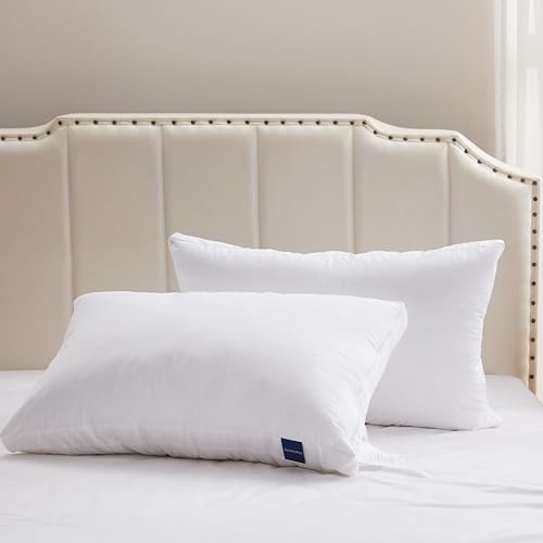 ACCURATEX Queen Size Pillows and Queen Size Mattress Pad