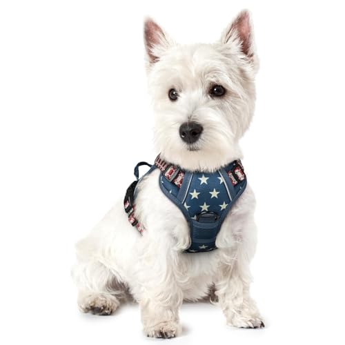 Image of rabbitgoo Dog Harness No Pull with 2 Leash Clips, Adjustable Soft Padded, Reflective Oxford No Choke Pet Vest with Easy Control Handle for Large Dogs, Blue Star, XS