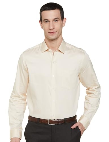 Image of Arrow Men's Slim Fit Shirt