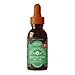 Alcohol Free ChlorOxygen Mint Flavored Herbs Etc 2 oz Liquid