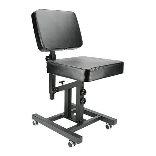 HOINCO Silla multifuncional con reposabrazos para tatuadores,Soporte reposabrazos para tatuajes Silla de tatuaje ajustable Soporte de belleza Equipo de tatuaje（Negro）