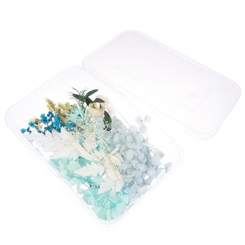 Kit de flores secas para manualidades DIY miniatura 6