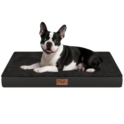 Image of Orthopedic Waterproof Dog Bed for Small Dogs and Cats | Egg Crate Foam for Joint Support, Fits 30x19 Crates, TPU Waterproof Layer, Machine Washable 1680D Oxford Cover, Up to 30 lbs
