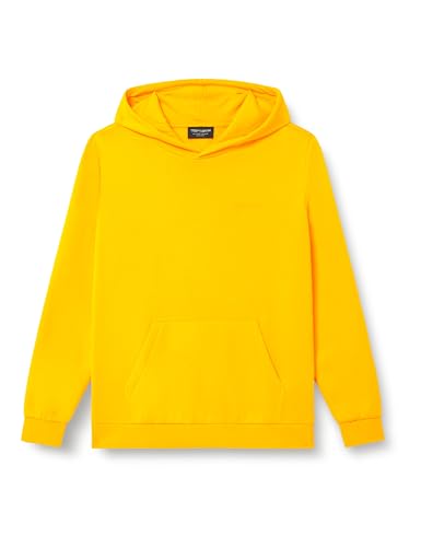 Sweat Teddy Smith S-NARK Hoody JR pull ado à capuche en molleton doux