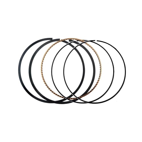 I[goCANZT[V_[{ASTD+100TCY69 69.25 69.50 69.75 70mmsXgOtLbgYP250 4HCp(1set Rings 69.25mm)